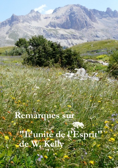 Remarques sur "L'unité de l'Esprit"