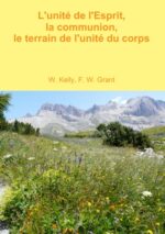 L&rsquo;unité de l&rsquo;Esprit, la communion, le terrain de l&rsquo;unité du corps