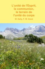 L&rsquo;unité de l&rsquo;Esprit, la communion, le terrain de l&rsquo;unité du corps