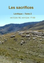 Les sacrifices (tome 2)
