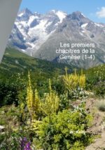 Les premiers chapitres de la Genèse (1-4)