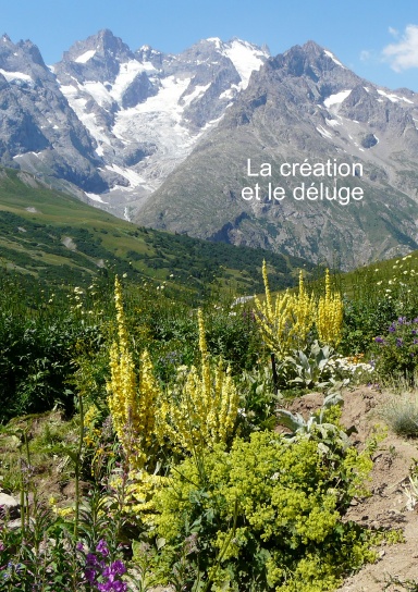 La création et le déluge